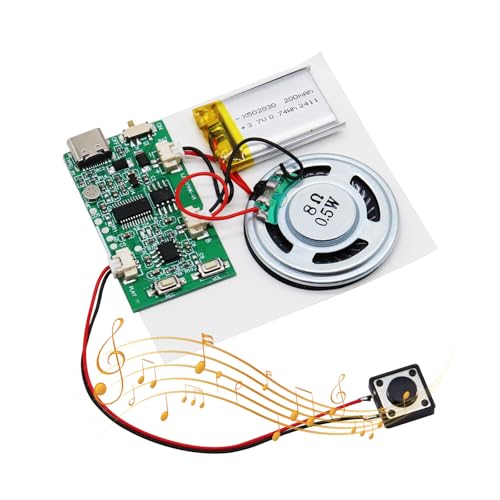 AYWHP USB Soundmodul Musik Sprachaufzeichnungsmodul mit Lautsprecher MP3 USB Kabel Aufladbarer Akku, Top Lautsprecher für DIY Karten, Geschenke, Spielwaren, selbst gestalten von AYWHP