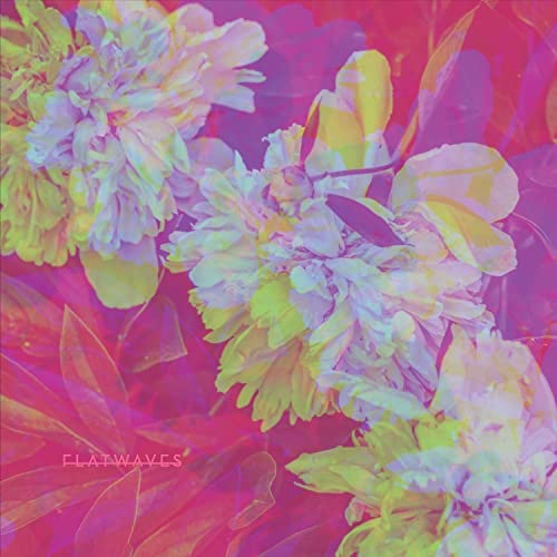 Numbra [Vinyl LP] von Abandon Everything R