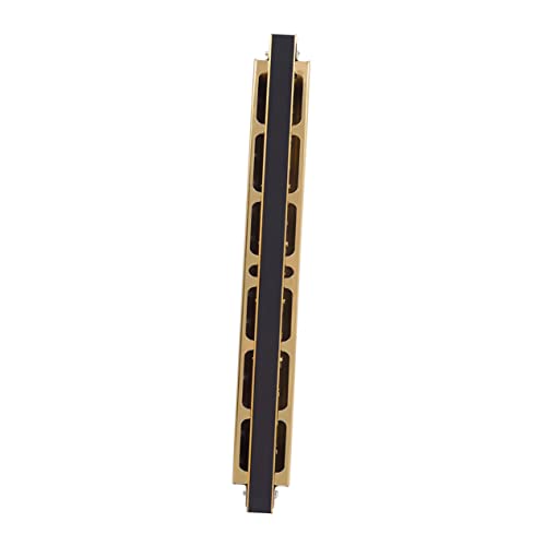 Abaodam 1 Stück Instrument für Anfänger c Mundharmonika Erwachsene mundharmonika für Mundharmonika C-Dur Musikinstrument Mundharmonika Tonart der C-Mundharmonika Golden von Abaodam