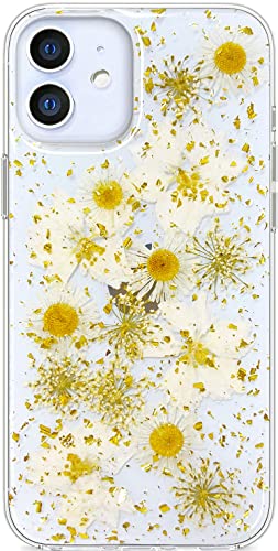 Abbery Handyhülle für iPhone 12 Mini Hülle Durchsichtig Echte Getrocknete Blumen Mit Motiv Muster Glitzer Dünne Transparente Silikon Frauen Mädchen Stoßfeste Schutzhülle (Golden Daisy) von Abbery
