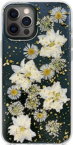 Abbery Handyhülle für iPhone 12 Pro Max Hülle Durchsichtig Echte Getrocknete Blumen Mit Motiv Muster Glitzer Dünne Transparente Silikon Frauen Mädchen Stoßfeste Schutzhülle (Golden Daisy) von Abbery