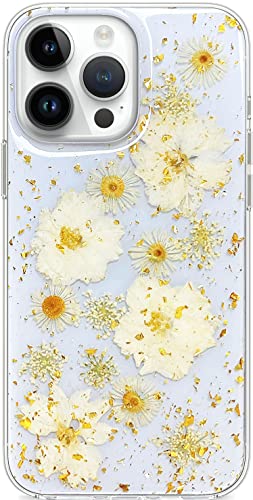 Abbery Handyhulle Kompatibel mit iPhone 14 Pro Max Hulle Blumen Mit Kameraschutz Motiv Glitzer Durchsichtig Dunne Transparente Silikon Echte Getrocknete Blumen Frauen M?dchen Schutzhulle (Gold Blumen) Abbery Handyhulle Kompatibel mit iPhone 14 Pro Max Hulle Blumen Mit Kameraschutz Motiv Glitzer Durchsichtig Dunne Transparente Silikon Echte Getrocknete Blumen Frauen M?dchen Schutzhulle (Gold Blumen) von Abbery