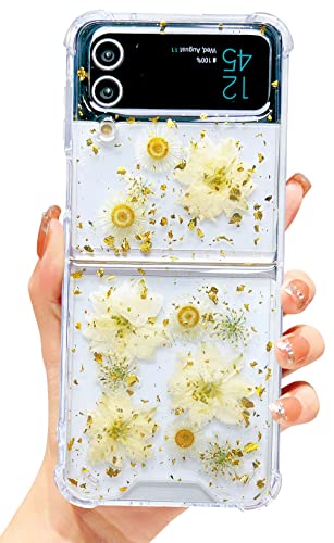 Abbery für Samsung Galaxy Z Flip 3 5G Hulle Glitzer Durchsichtig Motiv mit Blumen Das Schleierkraut Diamanten Sterne Mond Universum Muster Anti-Kratzer Stoßfest Handyhülle (Gold Daisy Blumen) von Abbery