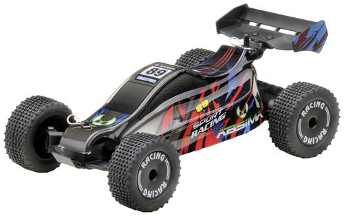 Absima Early Stage Serie Brushed 1:24 RC Einsteiger Modellauto Elektro Buggy Heckantrieb (2WD) RtR 2 von Absima