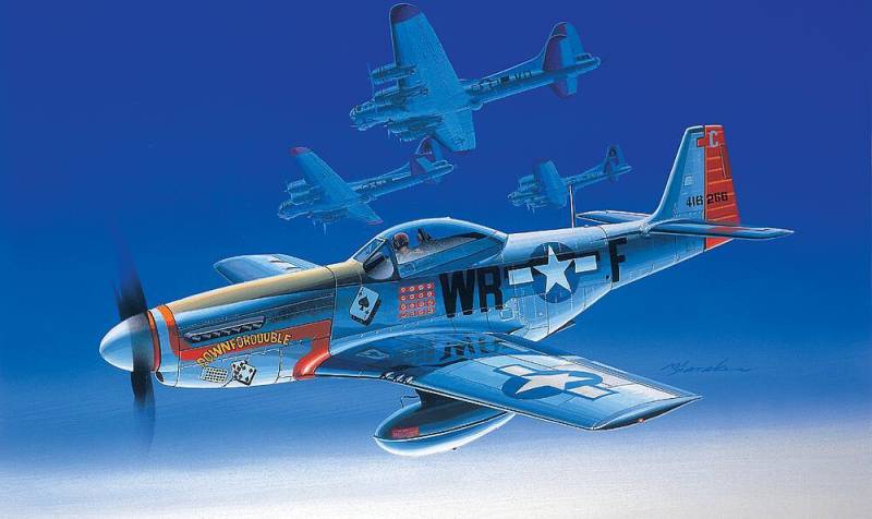 P-51D Mustang von Academy Plastic Model