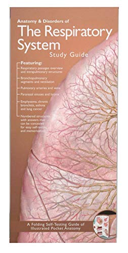 Anatomy & Disorders of The Respiratory System von Acc