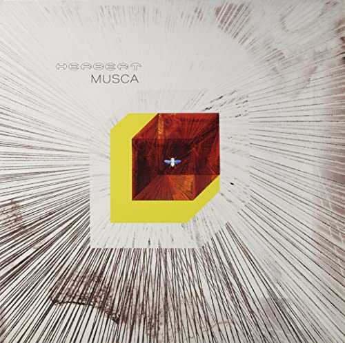 Musca (Yellow Vinyl 2lp Gatefold) [Vinyl LP] von Accidental (Rough Trade)