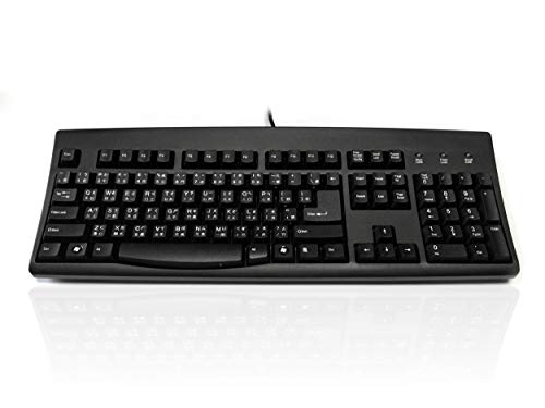 Accuratus 260 Chinesische PS2-Tastatur in voller Größe, professionelle chinesische Layout-Tastatur mit konturierten Touch-Tasten in voller Höhe und patentierter One-Touch-Euro-Taste von Accuratus