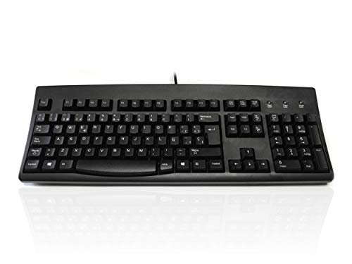 Accuratus 260 Spanisch – PS2-Tastatur in voller Größe, professionelle spanische Layout-Tastatur mit konturierten Touch-Tasten in voller Höhe und patentierter One-Touch-Euro-Taste von Accuratus