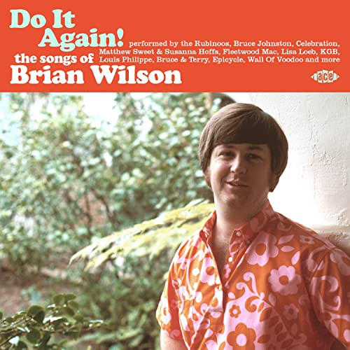 Do It Again! the Songs of Brian Wilson von Ace Records (Soulfood)