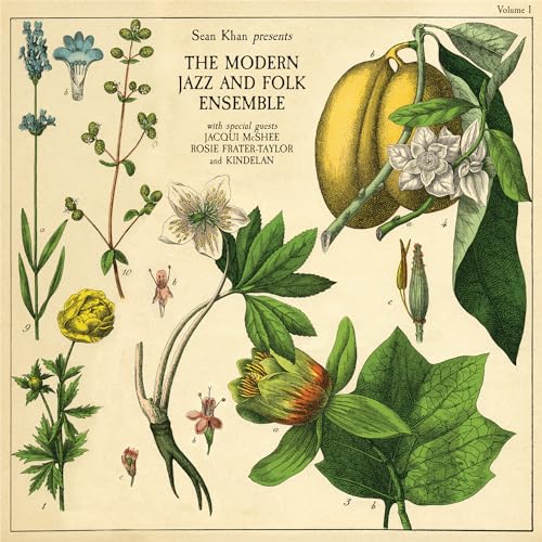 Sean Khan Presents the Modern Folk & Jazz Ensemble [Vinyl LP] von Acid Jazz