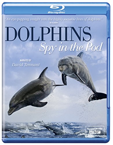 Dolphins Spy in the Pod [Blu-ray] [UK Import] von Acorn Media