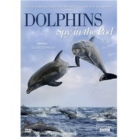 Dolphins Spy in the Pod von Acorn Media