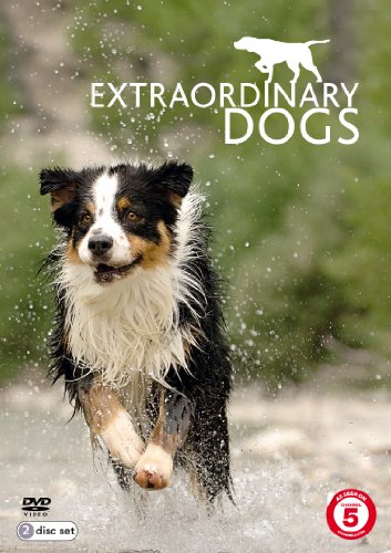 Extraordinary Dogs [DVD]