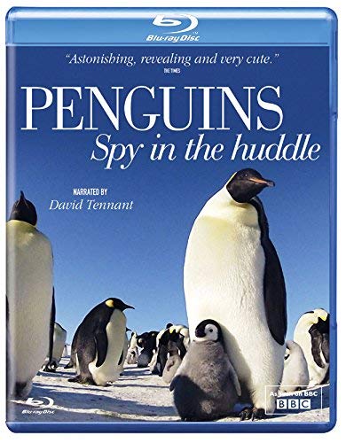 Penguins - Spy in the Huddle [DVD] [Blu-ray] von Acorn Media