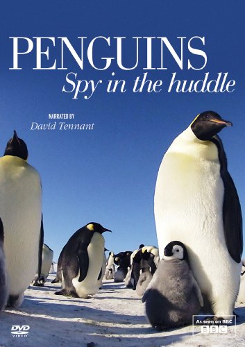 Penguins - Spy in the Huddle [DVD] von AcornMedia