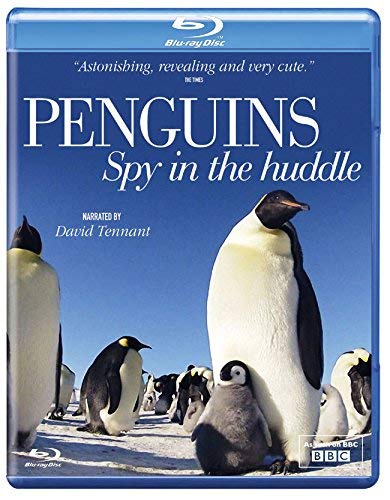 Penguins - Spy in the Huddle [DVD] [Blu-ray] von AcornMedia