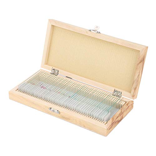 50pcs Biologieglas Vorbereitete Mikroskop -Objektträger -Proben mit Holzbox Mikroskop Vorbereiteten Schieberegleitungen. Vorbereitet Ist von Acouto