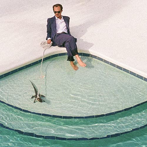 Days In The Summer [VINYL] [Vinyl LP] von Acrophase Records