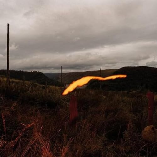 The Foel Tower [Vinyl LP] von Ad93 / Indigo