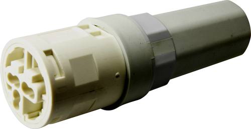 Adels-Contact Stecker 526203 Grau 50St. von Adels-Contact