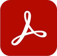 Adobe Acrobat Pro 2020 1 Lizenz(en) Slowakisch (65324403AD01A00) von Adobe