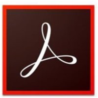 Adobe VIP Acrobat Standard DC (1-9)(12M) RNW von Adobe