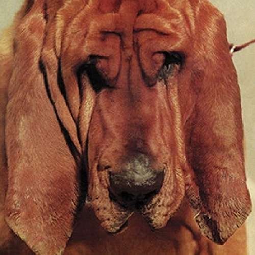 Goodbye Bread [Vinyl LP] von Adobe