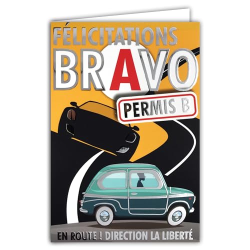 68 – 5003 Glückwunschkarte "Herzlichen Glückwunsch Erlaubnis" B Autofahren Auto Silber glänzend mit Umschlag 12 x 17,5 cm Erfolg Prüfung Code 18 Jahre Mehrheit Straße Freiheit Kreation Druck von Afie