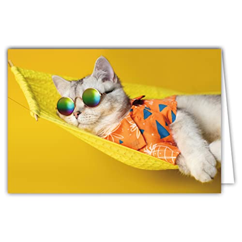 Afie 68-4001 Karte innen weiß mit Umschlag – Be Cool Relax No Stress Katze mit Sonnenbrille Hemd in einer Hängematte Gelb Farniente Nickerchen Urlaub Ruhen Hippie ist alles Bohème BOHO von Afie