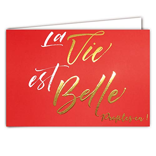 Afie 69 – 5106 Karte La vie est Belle Profites-en Worte in Gold glänzend auf Korallengrund; Lieferung mit Umschlag; Format Karte geschlossen 17 x 11,5 cm; von Afie
