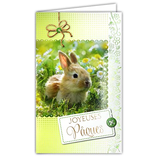 Afie Frohe Ostern Hase Blumen Glänzend Grüne Gänseblümchen Lieferung mit weißem Umschlag Format 12 x 19,5 cm FSC-Öko-Papier Nachhaltige Waldwirtschaft Hergestellt in Europa 12-681 JP von Afie