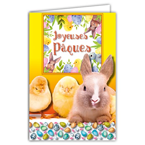 Afie Frohe Ostern Party Frühling Kaninchen Küken Gelb Huhn bemalte Eier Tiere Illustration Kinder Jugend mit Umschlag Format 12 x 17,5 cm PEFC Papier 300 g glänzend hergestellt in Frankreich 62-1020 von Afie