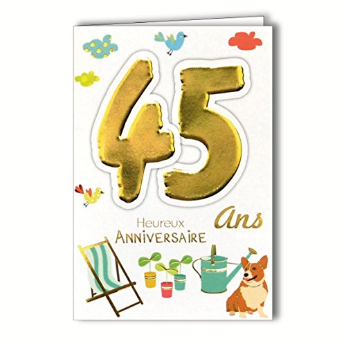 Age MV 69 – 2033 Karte Geburtstag 45 Jahre Herren Damen Garten-Design Pflanzen Gießkanne Erholung Babywippe Hunde Vögel von Afie