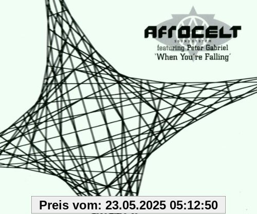 When You Are Falling When You Are Falling von Afro Celt Sound System