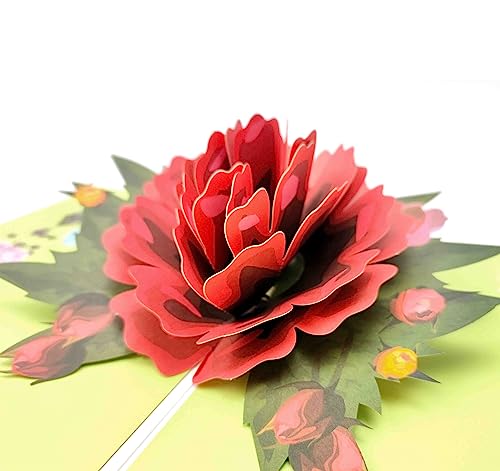 Agoer Pop Up Karte Blumen, 3D Blumenkarte Set Geburtstagskarte mit Umschlag, 3D Grußkarten für Muttertag,Danke,Valentinstag,Gute Besserung (Rose) von Agoer