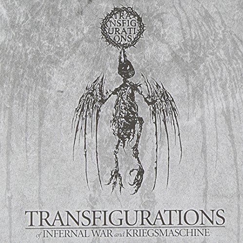 Transfigurations (Split CD) von Agonia Records (Soulfood)