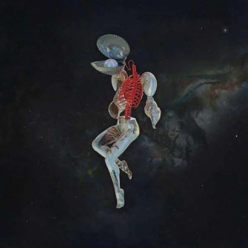 Fossil Garden Fossil Garden von Agonia Records