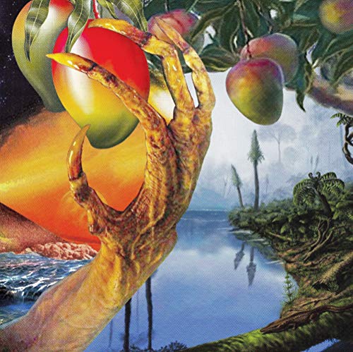 A Morphology Of Wonders [Vinyl LP] von Aguirre Records