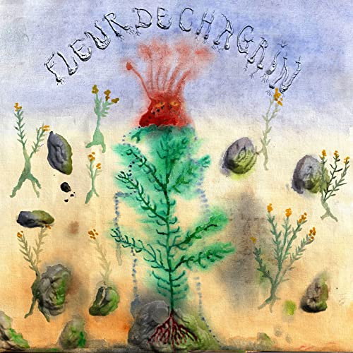 Fleur De Chagrin [Vinyl LP] von Aguirre Records