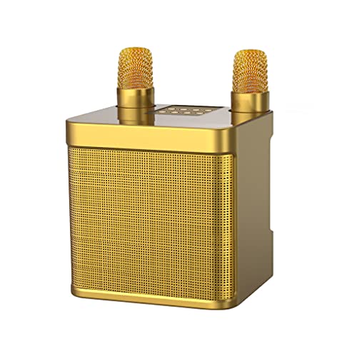 Ailan Drahtloses Lautsprecher Mikrofon Set Reisen Camping Bankett Bluetooth kompatibles 5.0 wiederaufladbares Soundbox Mikrofon Kit, Gold von Ailan