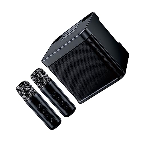 Ailan Drahtloses Lautsprecher Mikrofon Set Reisen Camping Bankett Bluetooth kompatibles 5.0 wiederaufladbares Soundbox Mikrofon Kit, Schwarz von Ailan