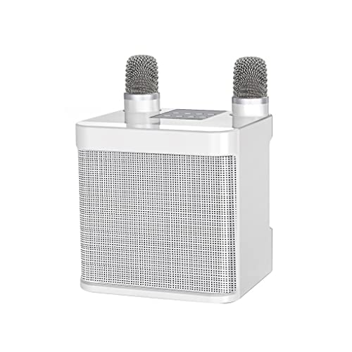 Ailan Drahtloses Lautsprecher Mikrofon Set Reisen Camping Bankett Bluetooth kompatibles 5.0 wiederaufladbares Soundbox Mikrofon Kit, Weiss von Ailan