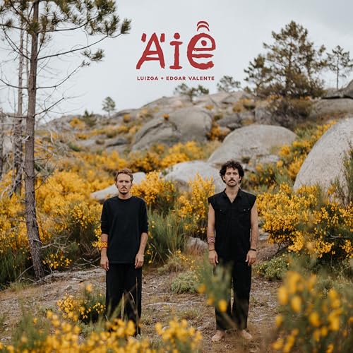Aie [Vinyl LP] von Ajabu! (Broken Silence)