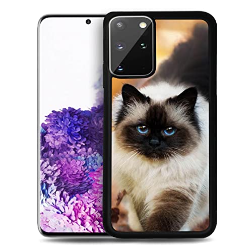 Für Samsung A53, für Samsung Galaxy A53 4G 5G, langlebige schützende weiche Rückseite, Handyhülle, HOT13701 Himalaya-Katzen-Kätzchen 13701 von AjourTek