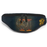 Akedo x Harry Potter Hufflepuff Bum Bag von Akedo