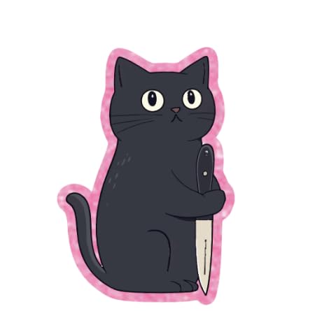 Niedliche schwarze Katzen-Abzeichenspule, Zubehör, Krankenschwester-Tier-Abzeichen-Halter, einziehbar, mit Krokodilklemme, lustiger Krankenpfleger, Acryl, RN CNA, Abzeichen-Clip für Ausweis von AkiliBIELY
