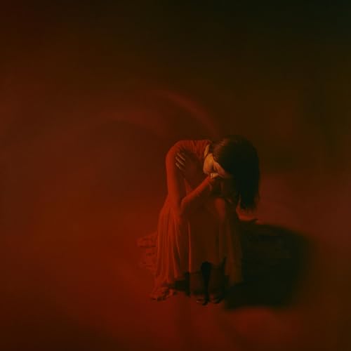 Darkroom [Vinyl LP] von The Orchard