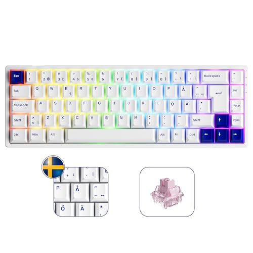 Akko 3068B Plus RGB Mechanische Gaming-Tastatur, Multi-Modi Kompakte Tastatur mit 5 Pin Hot Swappable, PBT Double Shot Cherry Tastenkappen, ISO DE/Nordic Layout (Blau Weiß, Jelly Rosa) von Akko