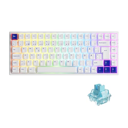 Akko 3084B Plus RGB Mechanische Gaming-Tastatur, ISO-DE/Nordic Layout, 85% Kabellose Computertastatur mit PBT-Tastenkappen, 100% Anti-Ghosting, Programmierbar, für Window/Laptop (Jelly Blau) von Akko